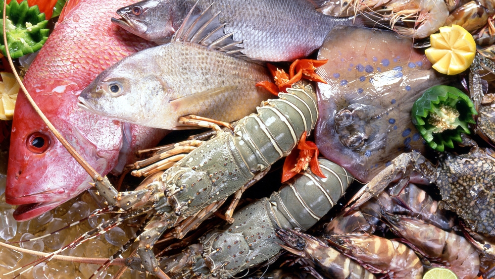Tại sao nên ăn hải sản tươi sống thay vì hải sản đông lạnh